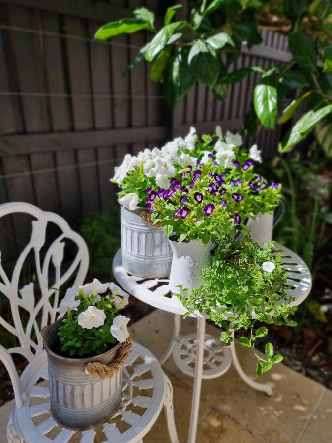 Bed & Breakfast Edward New Fam Brisbane